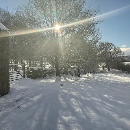 Holiday home Orchard House